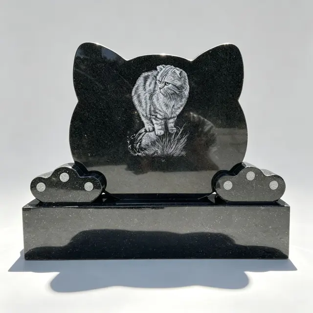 P-012 Grav för katt